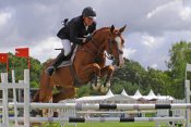 6lpacific-du-criolosf_verdi-dandy-du-plape-web