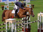 6lpepite-de-lElstreesf_idelio-du-rhot_letot-de-web