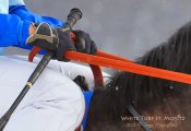 Fb-white22-kopie_3
