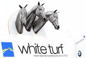 Gp-white3_2