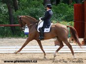 Normandie-web-