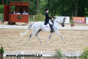Passepartout