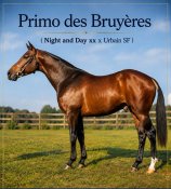 Primo