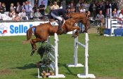 Quir-royal-linieresf_royal-feu-web