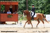Roodvander_hannoversternberkmartina-web