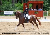 Salmaswithy_skowronska2-web