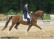 Sarka_3-popis-web