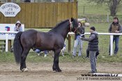 Web-nero-becvansky242