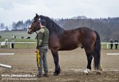Webbonet9899